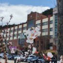 근화여자고등학교 이미지