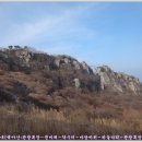 마당목장 이미지