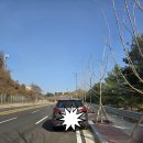 노봉방주 생계형 말벌주 이미지