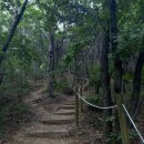 동천행정사 이미지