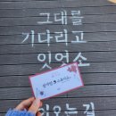 온빛투어 이미지