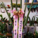 네이처컬렉션전남담양점