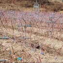 황가네농장 이미지