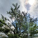 볼음저수지 이미지