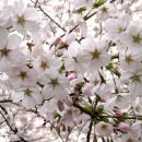 공주(대전) 이미지