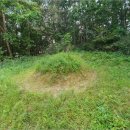 금성초등학교금계분교장 이미지