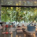 홍대걷고싶은거리 | 초등 아이와 가볼 만한 곳 홍대 입구 놀 거리 볼거리가 가득한 홍대 걷고 싶은 거리 카페 추천