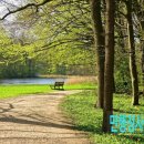 행정사사무소 이상 이미지