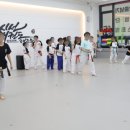 용인대 시선 태권도장 이미지