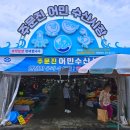 강릉 주문진 수산시장 오징어회 독도새우