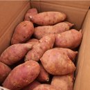 해남농장2 이미지