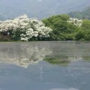 주상희행정사사무소 이미지