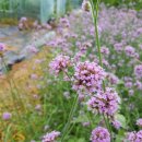 새벌농장 이미지