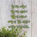 "'청계산둘레길'(옛골~이수봉~매봉~원터골~청계산입구역) 산책"＜2024.03.18(월)＞ 이미지