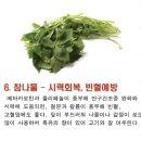 쌈 채소의 효능 쌈 채소의 효능 이미지