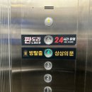 상상의문 수원 퍼펫쇼 &amp; DKDK 컴퍼니 후기(240405)