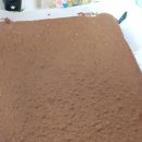 카페 메뉴 디저트 이미지