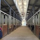 서울승마힐링캠프 이미지