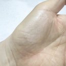 수정-50 | 지베르니 톤업 선쿠션 솔직후기｜건조한 오후 화장 수정에 딱