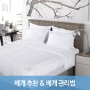 씰리침대달서점 이미지