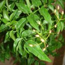 학의농장 이미지