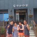 오션바이브 이미지