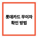 롯데카드 무이자 할부 확인 방법, 기간, 행사 총 정리~!
