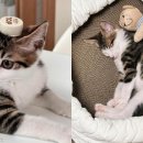 NEW스타간판 이미지