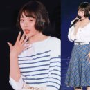 푸른산호초 이미지