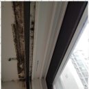 온누리건강하우스 이미지