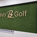 브라보스크린골프 화성향남점 이미지