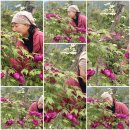 정희네 들꽃이야기 이미지