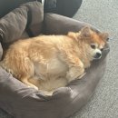 춘향각 | 2025, 의당탕탕 3월 <야구 개막하니까 저도 블로그 개막할게요💙>