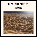 이천 가볼만한곳 베스트10 이천 가볼만한곳 경기도 이천 가볼만한곳 이미지