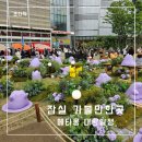 포켓몬 타운 2025 메타몽 프로젝트 대량발생몽 팝업