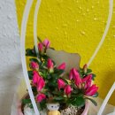 샘머리유치원 이미지