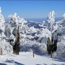 부곡사거리~묵호역사거리 앞 이미지