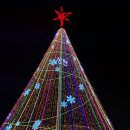 축제광장 및 수변공원 | 2024 세종시 빛축제 12.13(금)~ 2025. 1. 15.(수) 개막식 행사 후기 : 이응교 남측광장 및 수변공원