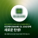 CL헤어 이미지
