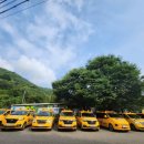 맥태권도장 이미지