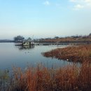 행정사신정호사무소 이미지