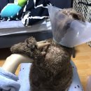 티라임스 이미지