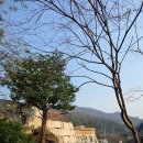 스카이마당 이미지