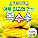강냉이는 표준어 ㅡ"옥수수"의 사투리ㅡ "옥수수" (Corn) ㅡ꽃말은 '재보' (財寶)ㅡ 벼과에 속하는ㅡ 한해살이식물입니다.ㅡ. 이미지
