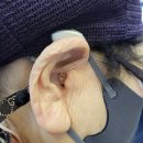 포낙보청기 이미지