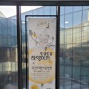 광진어린이공연장 | 광진어린이공연장 ‘동글동글 하양이와 노란알’ 후기 / 주차 팁