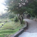 꽃빛공원약수터 이미지