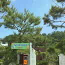 경기도 가평 계곡 오토 캠핑장 추천 조용한 탐선골캠핑장 방문 후기