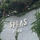 송화원 | 충남 예산 스플라스리솜 스테이타워 S30 콘도형 내돈내산 숙박후기