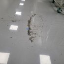 (주)디앤씨바이오 이미지